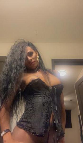 4236353149, transgender escort, Fort Myers